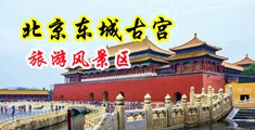 美人屄中国北京-东城古宫旅游风景区